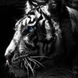 Сергей Лифанов