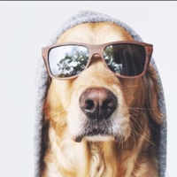 Константин Пужайло