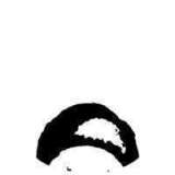 Тимур Безбородников