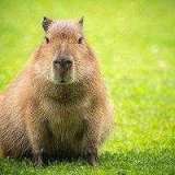 Григорий Титов