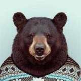 Денис Бульгак