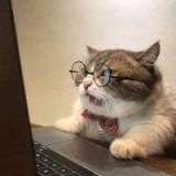 Мумин Абдувахидов