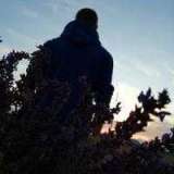 Денис Малышев