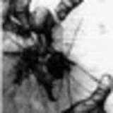 Владимир Сутормин