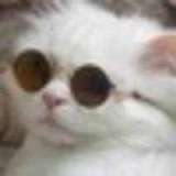 Марсель Хуснутдинов