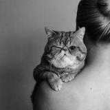 Екатерина Троицкая