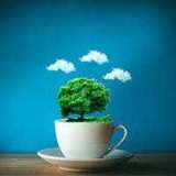 Люда Голендухина