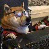 Павел Коваль