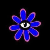 Диана Дронь