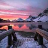 Богдан Гард