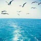 Евгений Онегин