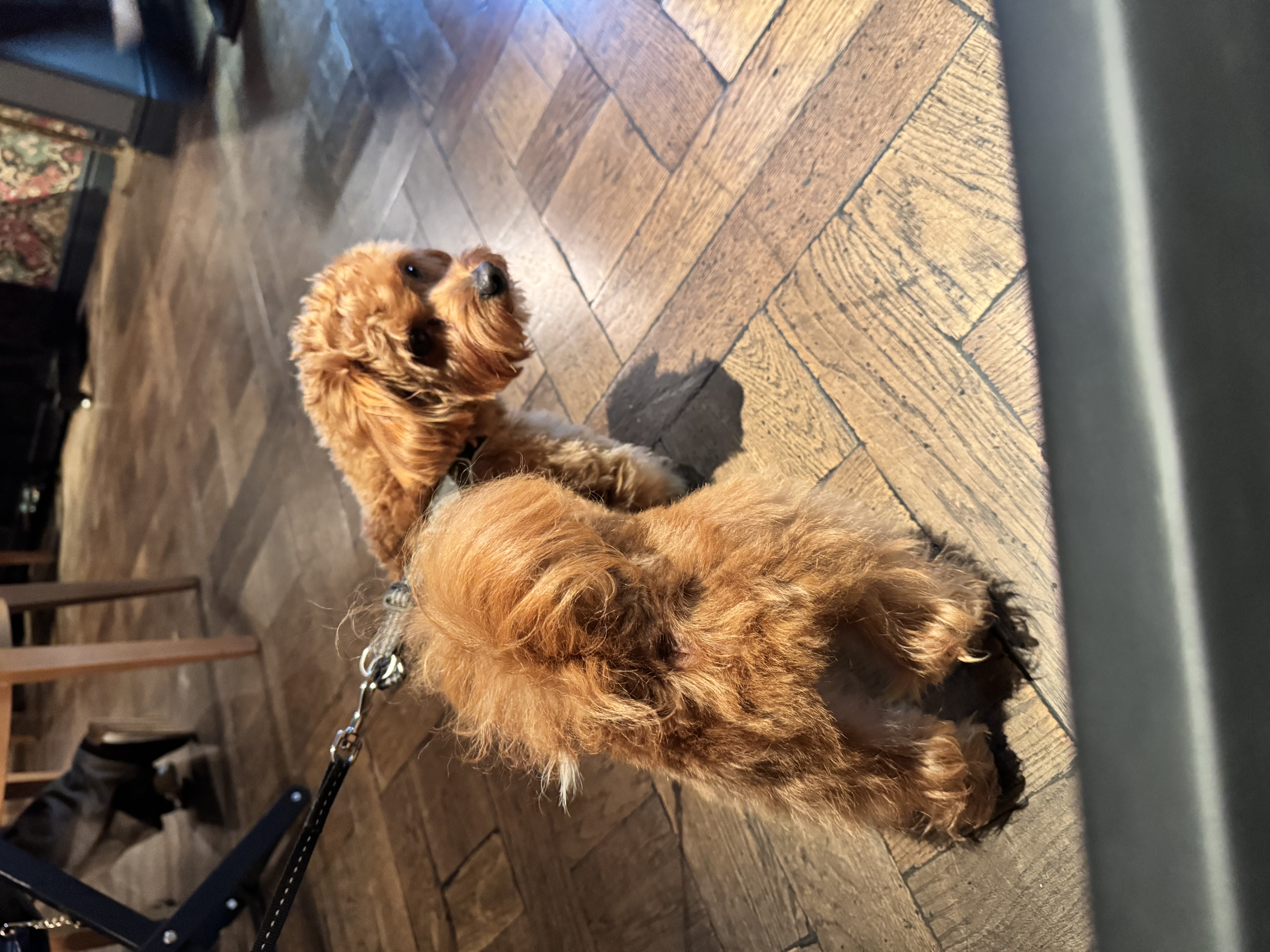 Аватар заказчика