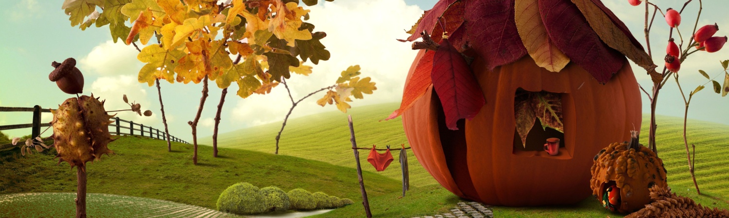 Обложка профиля Светлана