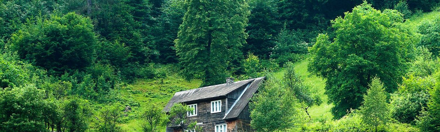 Обложка профиля Kirill Popov